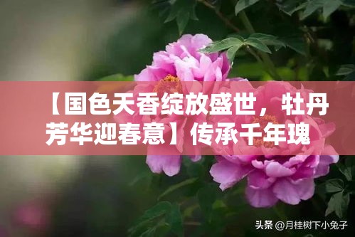 【国色天香绽放盛世，牡丹芳华迎春意】传承千年瑰丽，漫步赏花之旅的不二选择