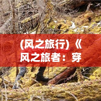 (风之旅行) 《风之旅者：穿越荒野的呼唤》——揭秘大自然的奥秘，追寻心中的自由飞翔