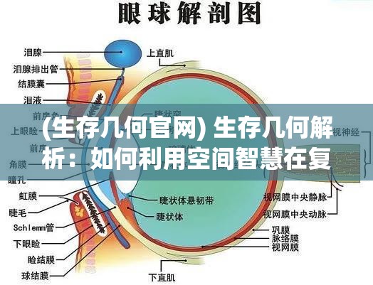 (生存几何官网) 生存几何解析：如何利用空间智慧在复杂环境中制定最优策略